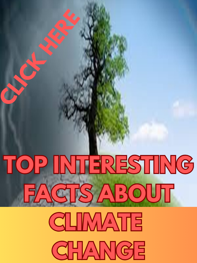 TOP INTERESTING FACTS ABOUT CLIMATE CHANGE